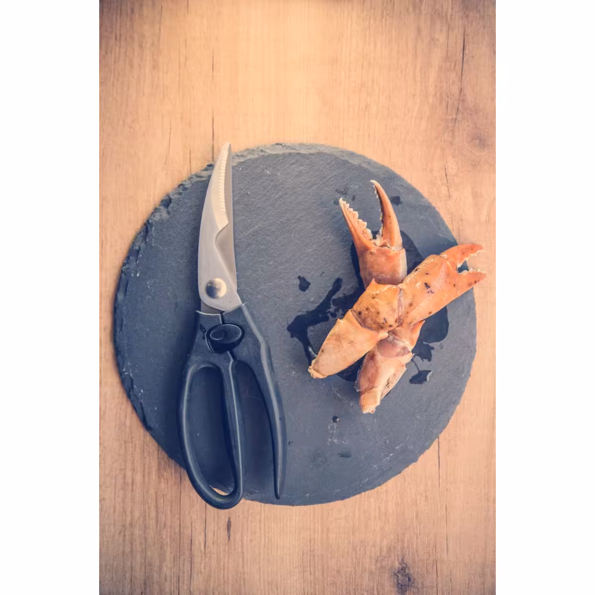 Arcos-Tijeras-de-Pollo-Serie-Ecopro-240mm