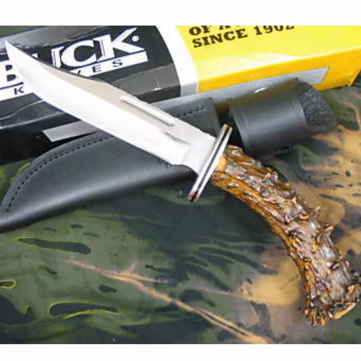 BUCK-119-CROWN-STAG-SPECIAL-FIXED-BLADE-HUNTING