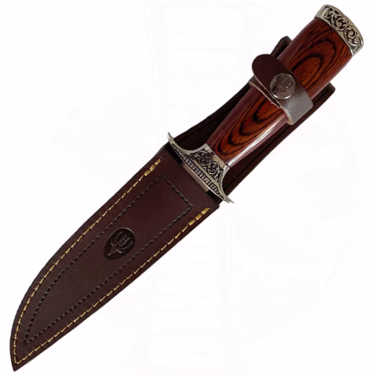Muela-11633