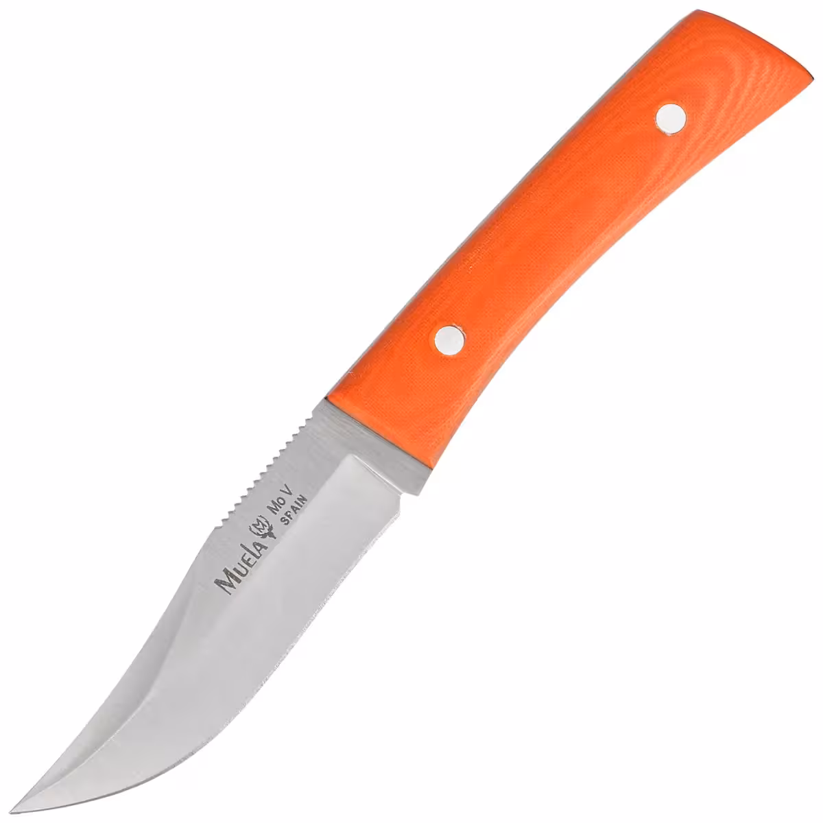 Muela-BWE-8-O-Orange-Micarta-Satin-X50CrMoV15