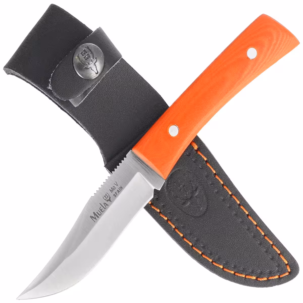 Muela-BWE-8-O-Orange-Micarta-Satin-X50CrMoV15