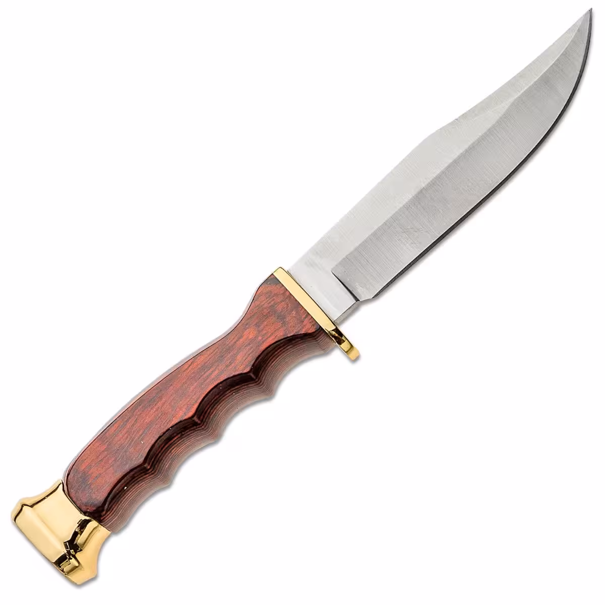 Muela-BWF-10