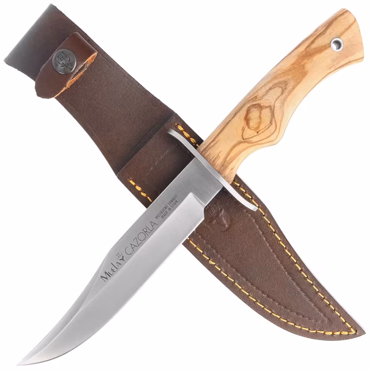Muela-CAZ-16-OL-Olive-Wood-Satin-X50CrMoV15-Knife