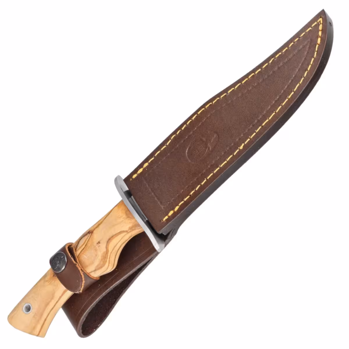 Muela-CAZ-16-OL-Olive-Wood-Satin-X50CrMoV15-Knife