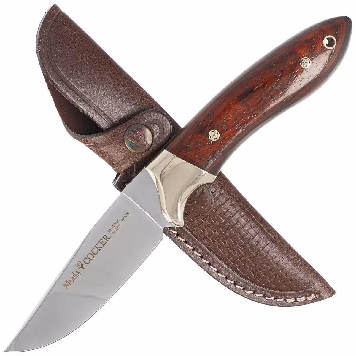 Muela-COCKER-11CO