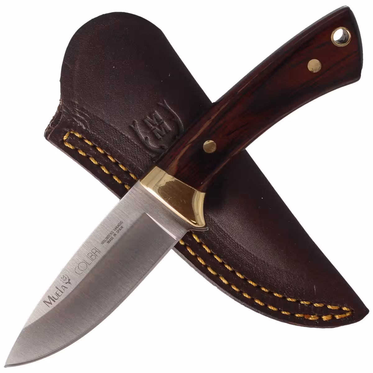 Muela-Colibri-Knife-Pakkawood-Satin-X50CrMoV15-