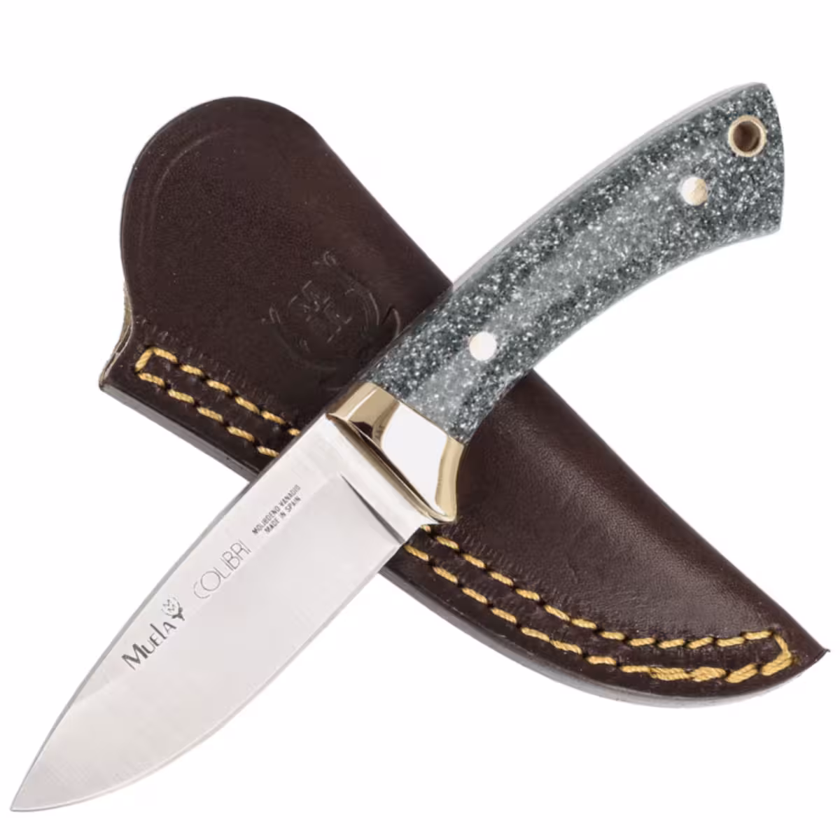 Muela-Colibri-COL-7G