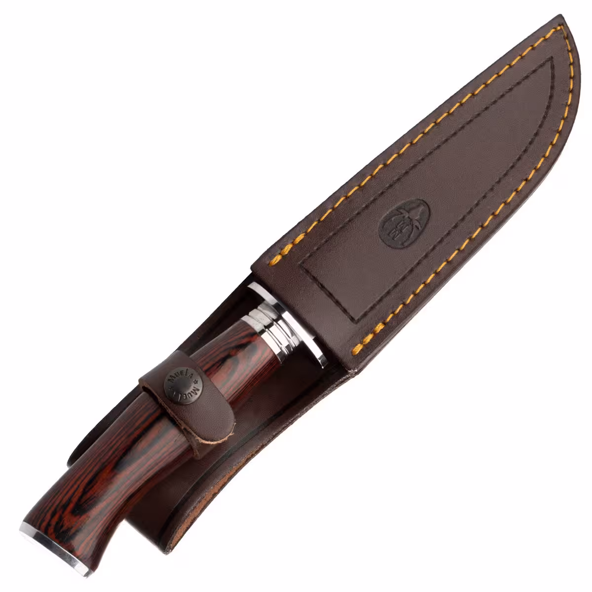 Muela-ELK-14R.I