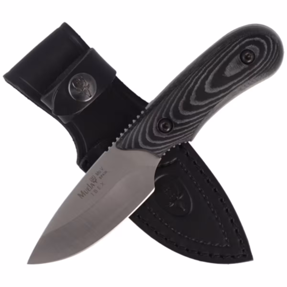 Muela-Full-Tang-Black-Micarta-Satin-X50CrMoV15-IBEX-8M