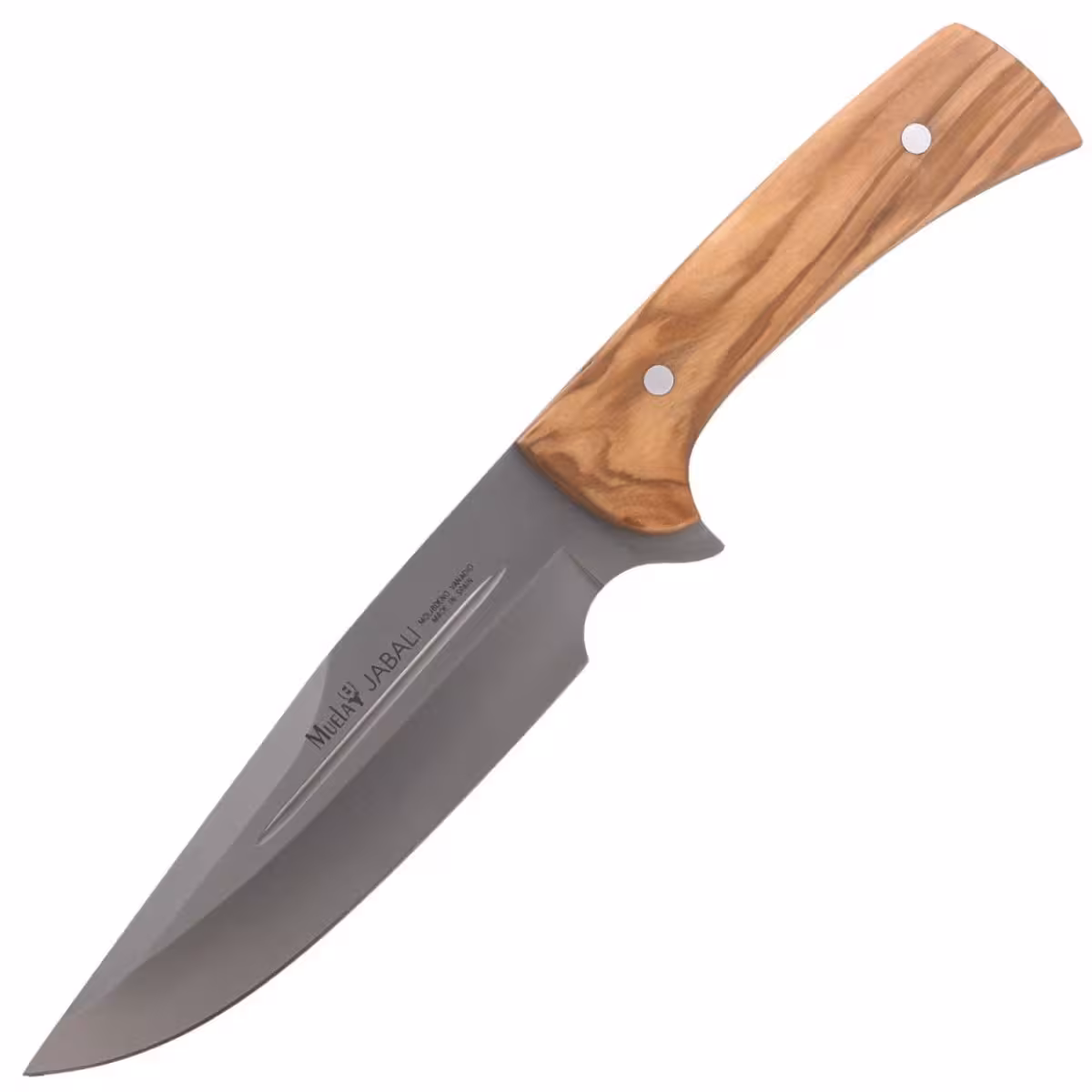 Muela-Full-Tang-Olive-Wood-Satin-X50CrMoV15-JABALI-17OL