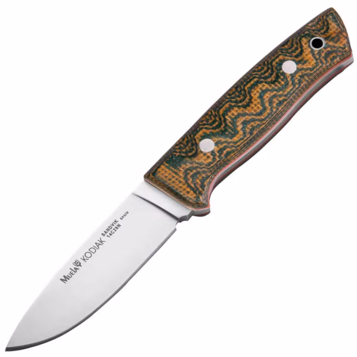 Muela-KODIAK-10G