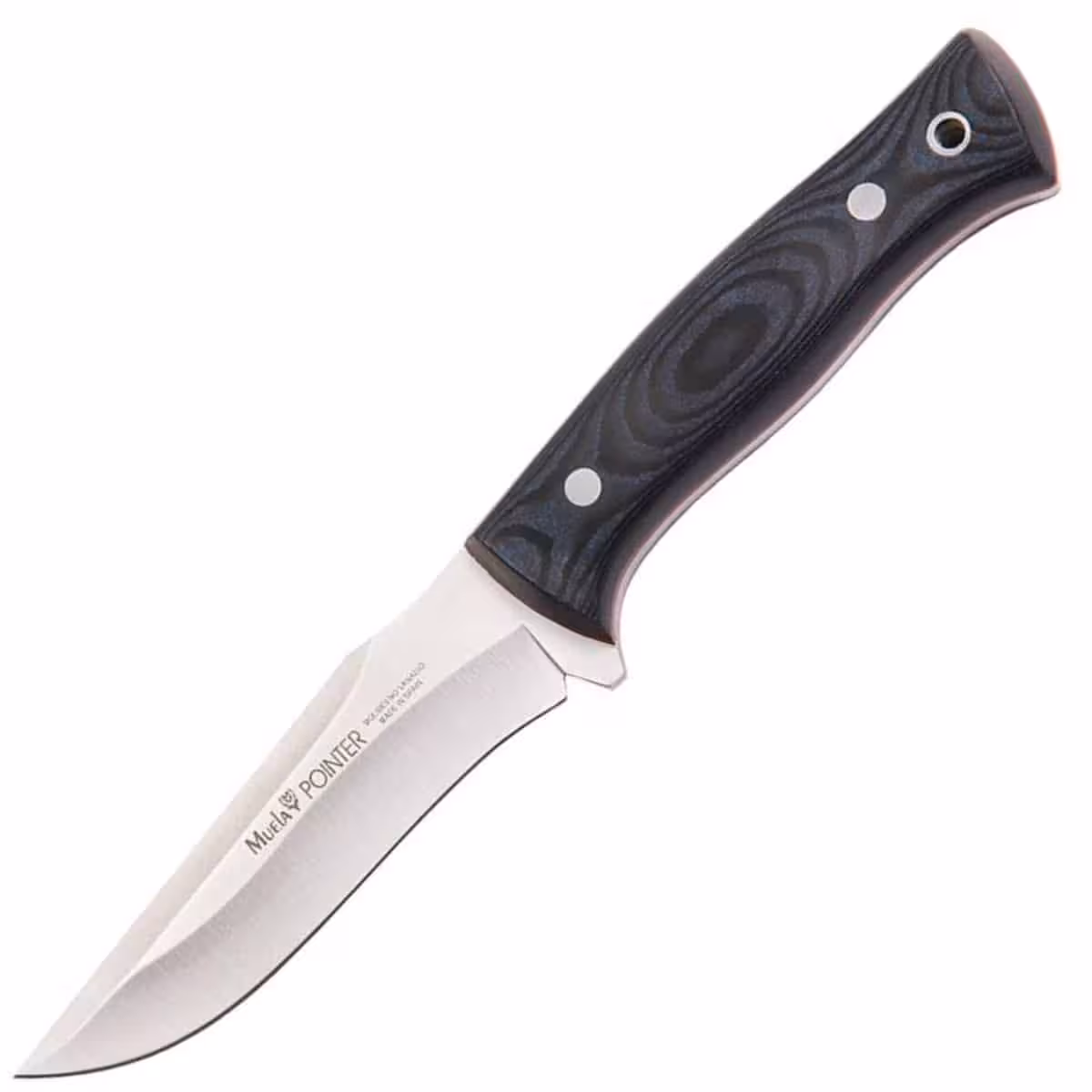 muela-pointer-12m
