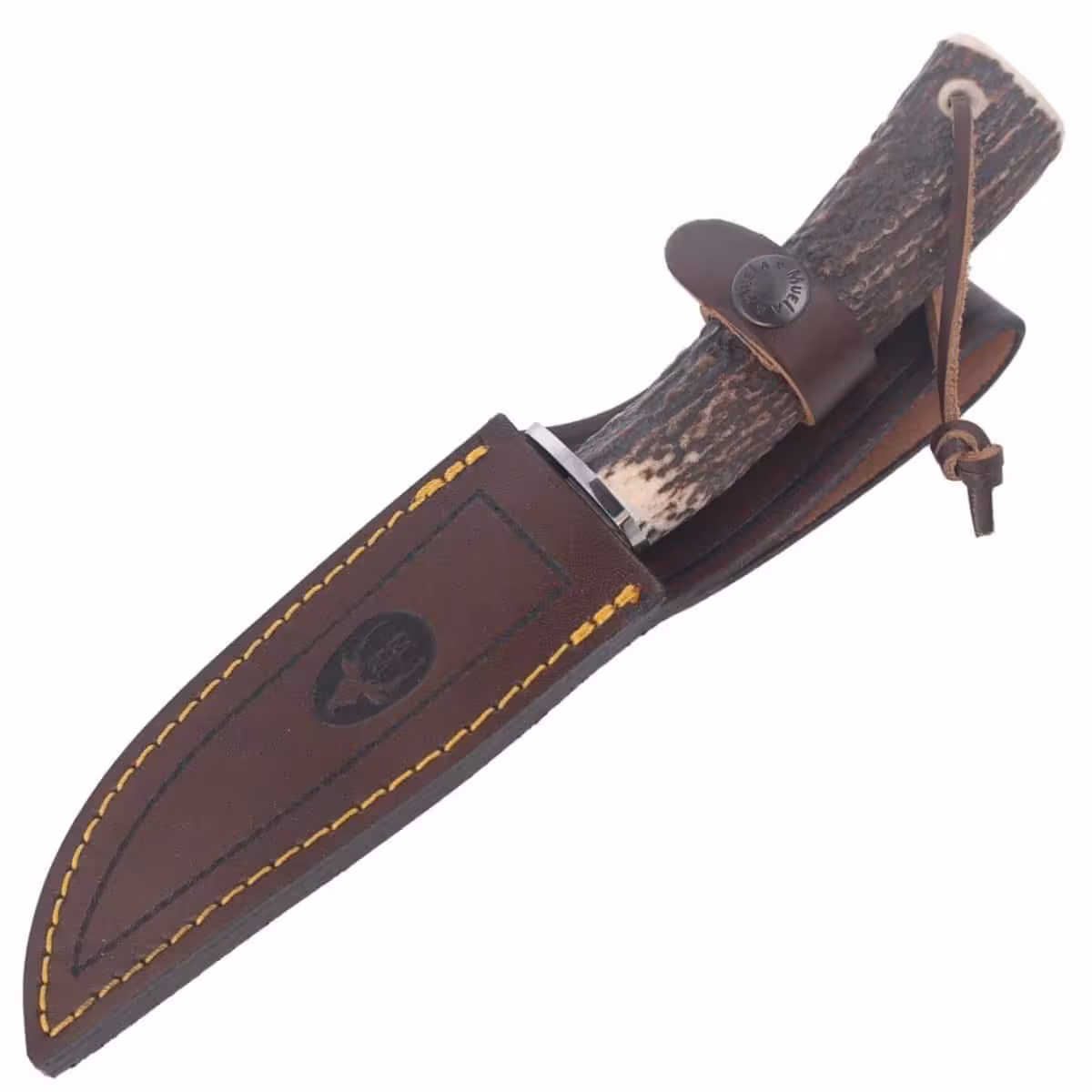 Muela-Deer-Stag-Satin-X50CrMoV15-POINTER-13A