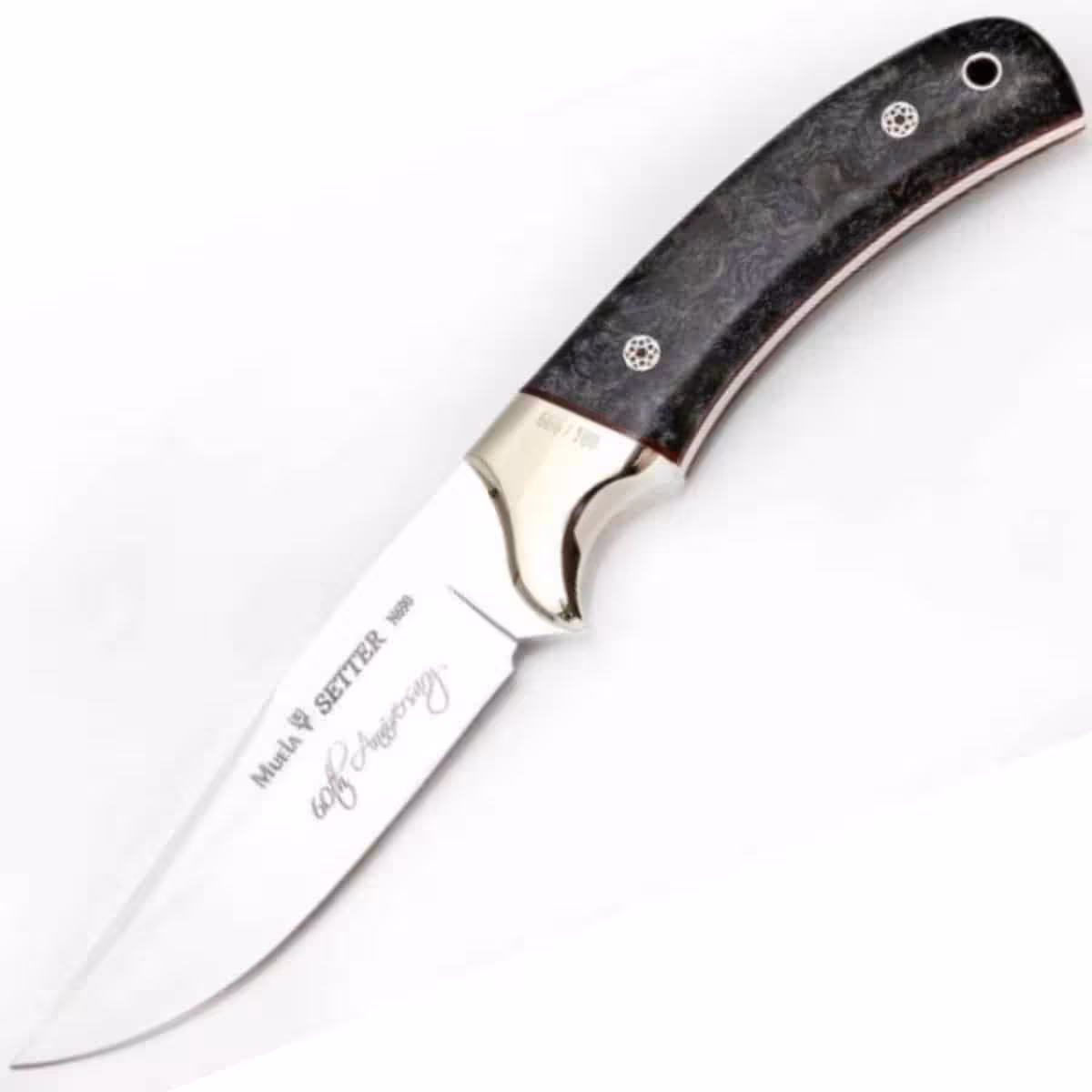 Muela-SETTER-11.TH