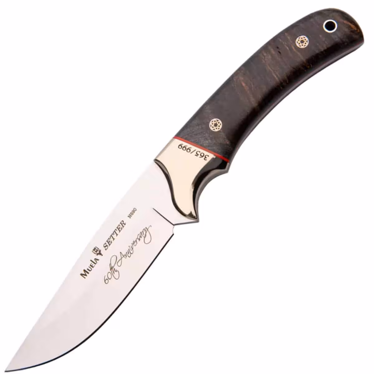 Muela-SETTER-11.TH