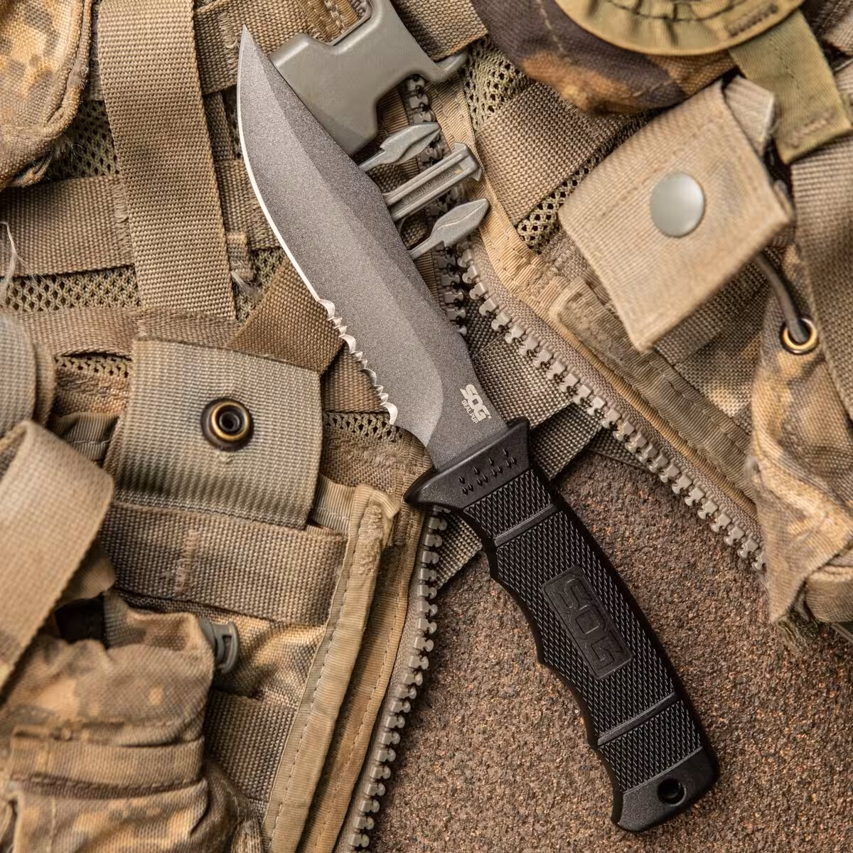 SOG-SEAL-PUP