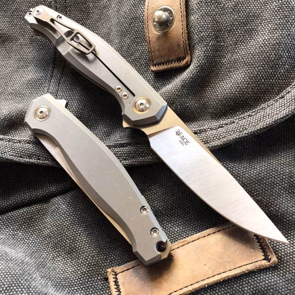 GiantMouse-ACE-SONOMA-TI-SATIN