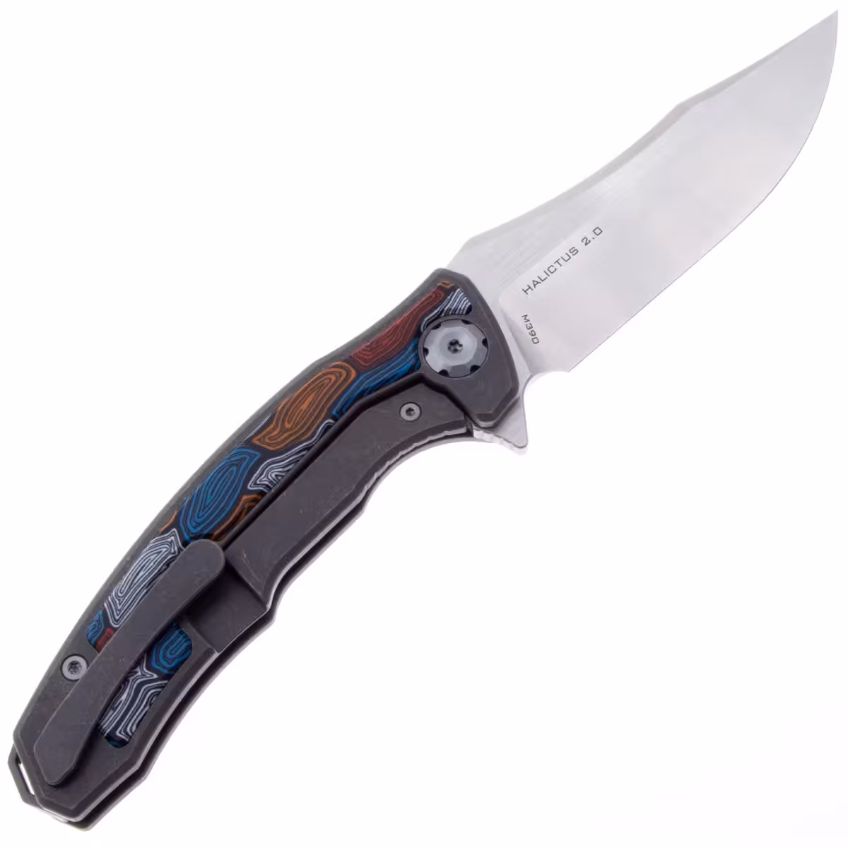 Maxace-Halictus-MHLT203