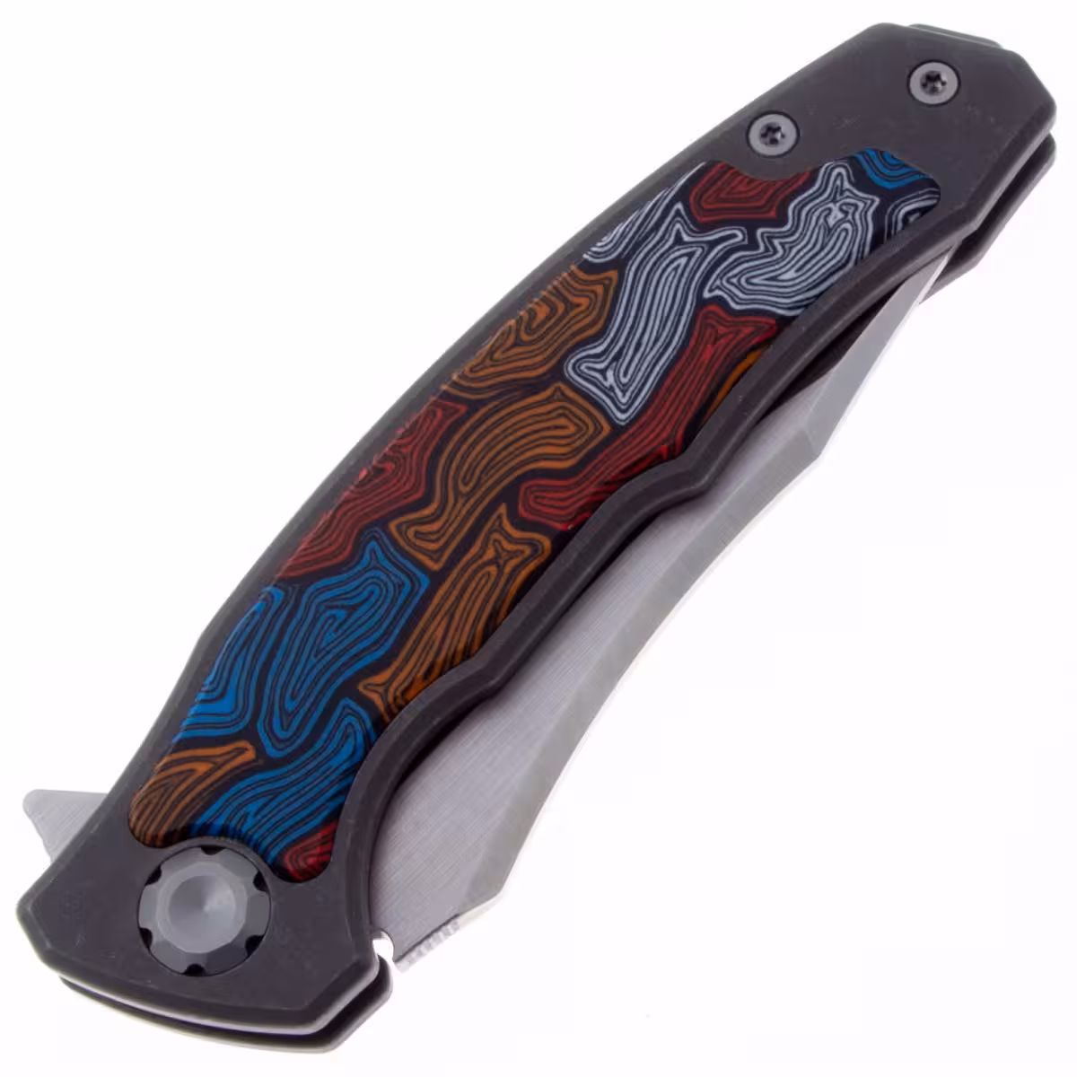 Maxace-Halictus-MHLT203