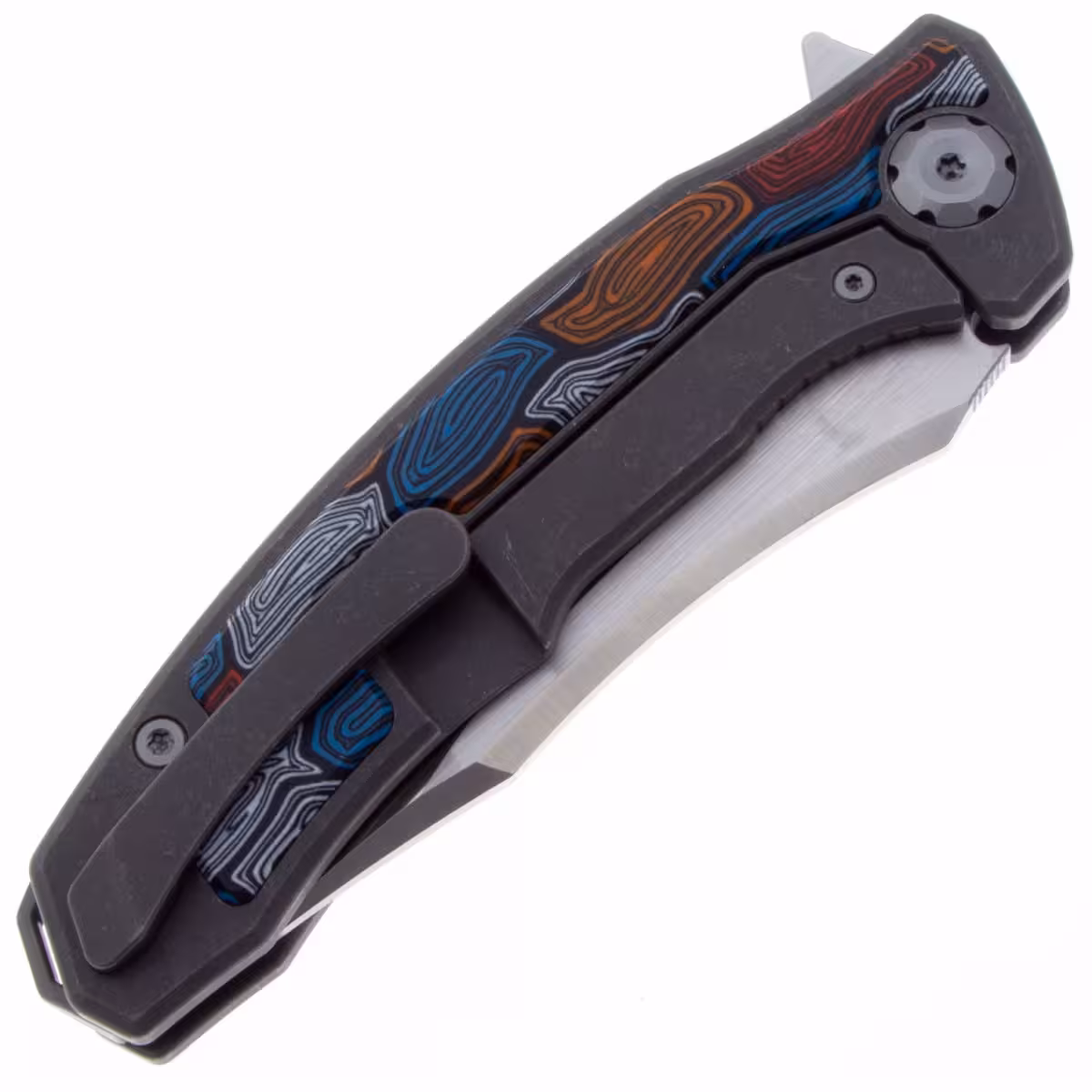 Maxace-Halictus-MHLT203