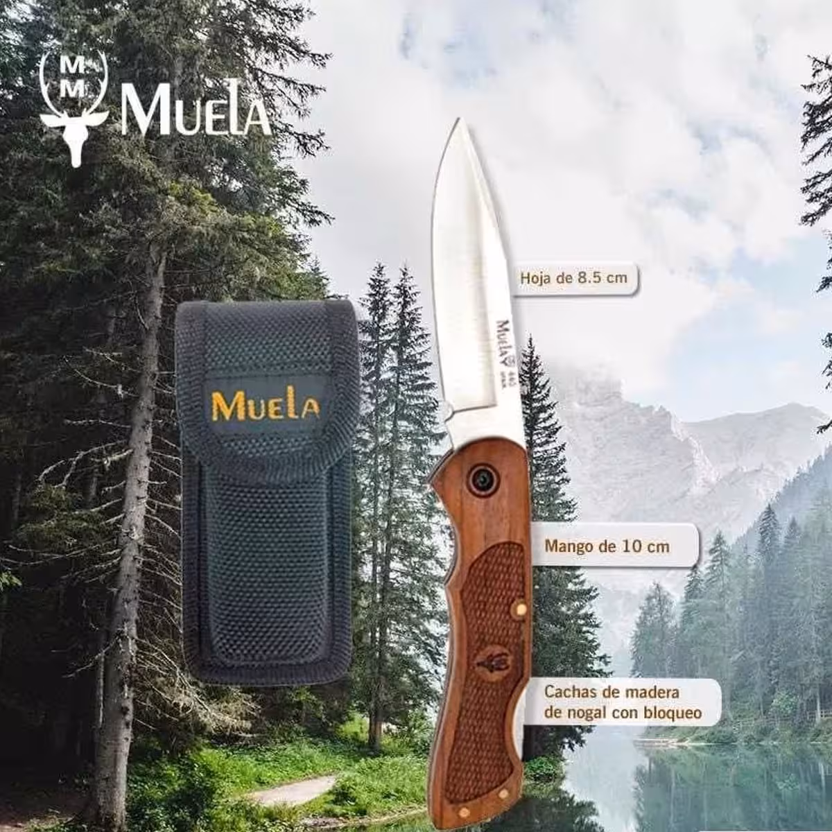 Muela-BX-8NG