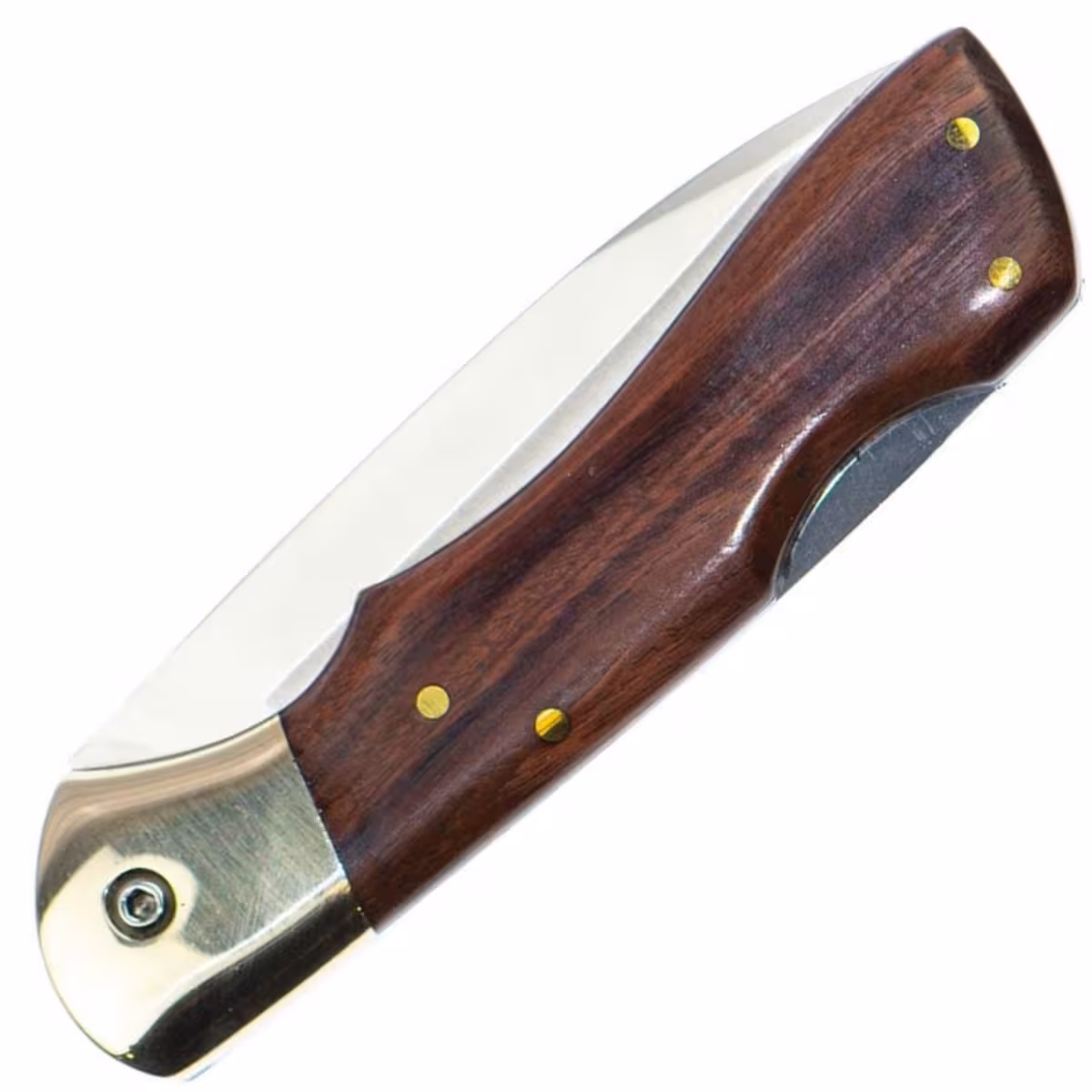 Muela-BX-8NL