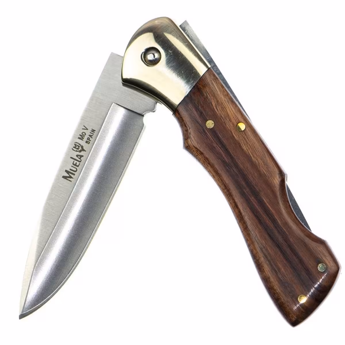 Muela-BX-8NL