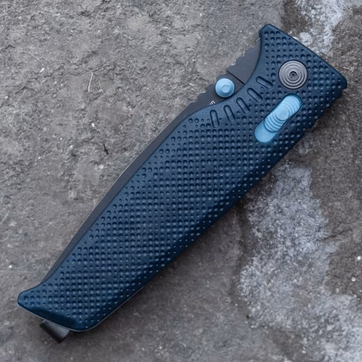 SOG-ALTAIR-XR-SQUID-INK