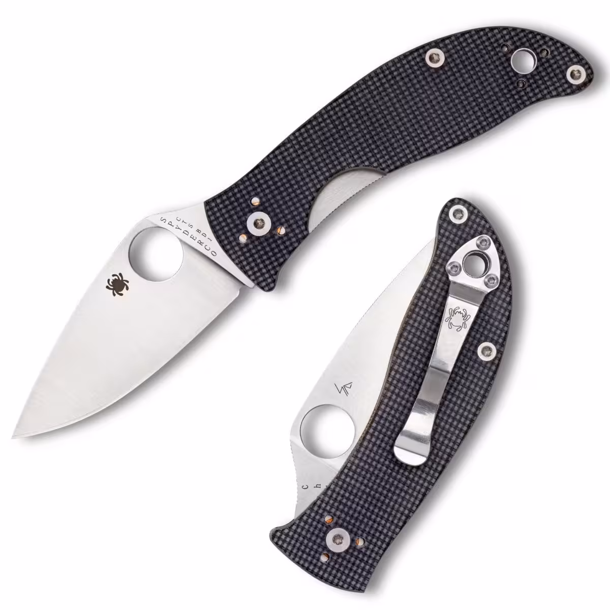 Spyderco-Alcyone-C222GPGY