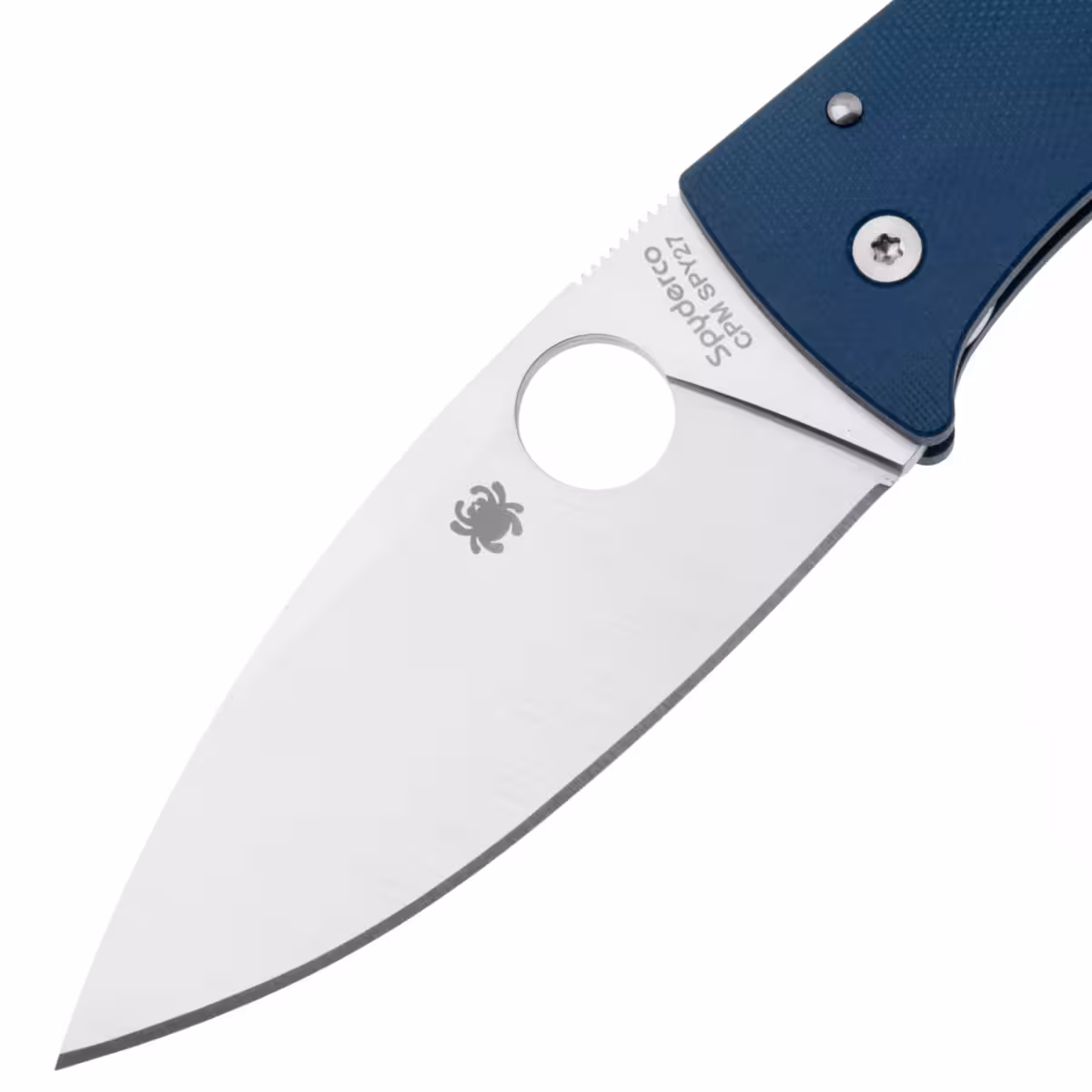 Spyderco-Bodacious-C263GPCBL