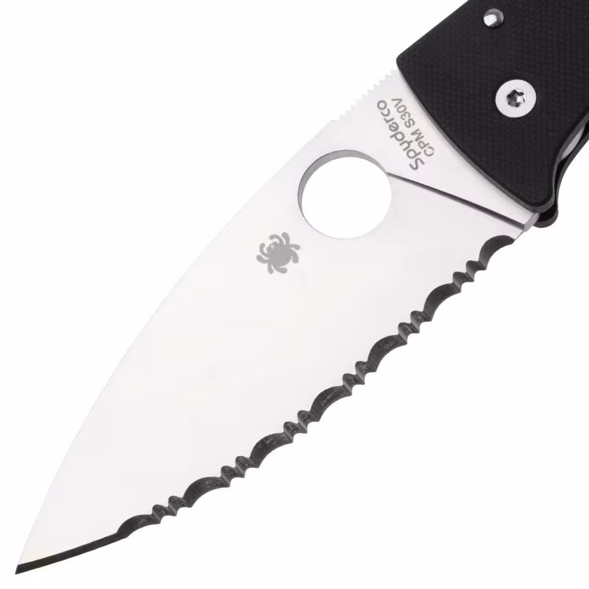 Spyderco-Bodacious-C263GS