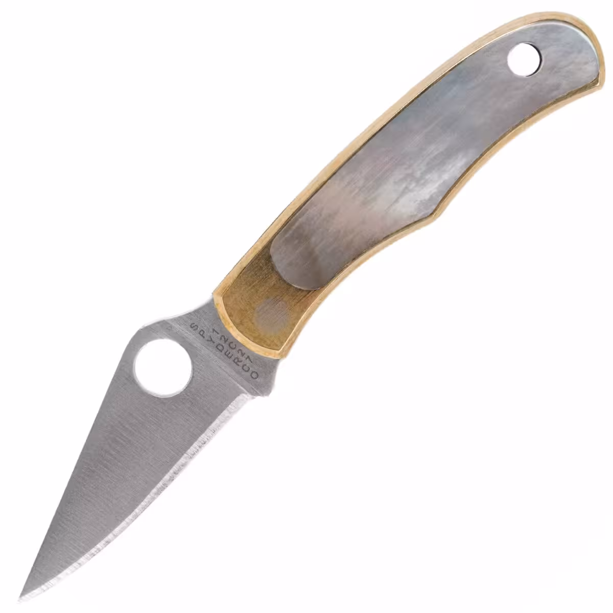 Spyderco-Bug-C133AP