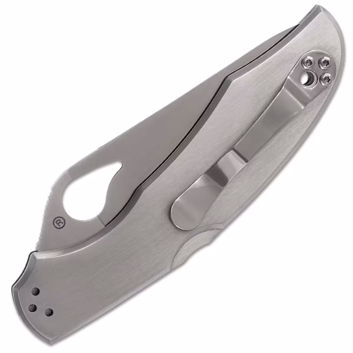 Spyderco-Byrd-Cara-Cara-2-BY03P2