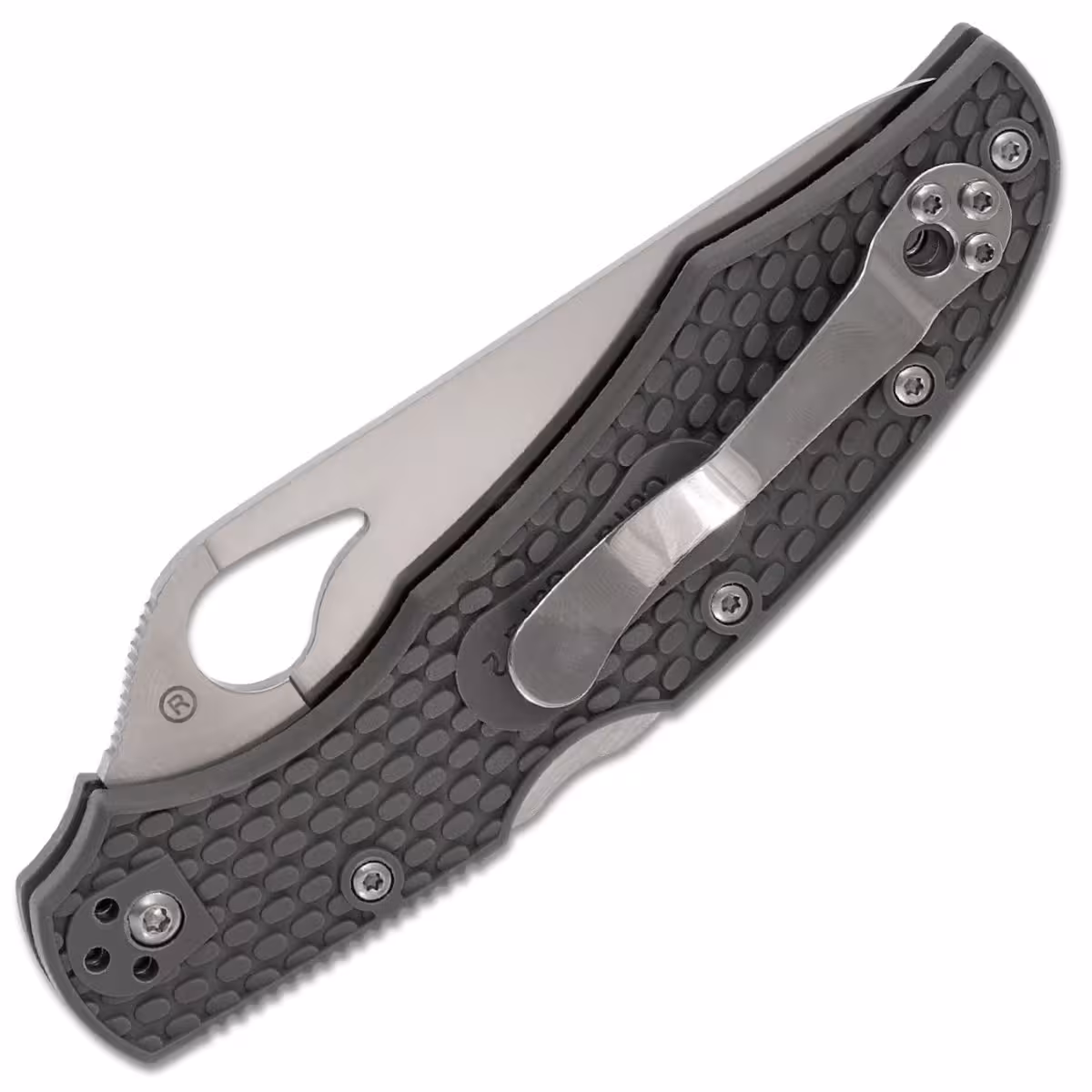 Spyderco-Byrd-Cara-Cara-2-BY03PGY2