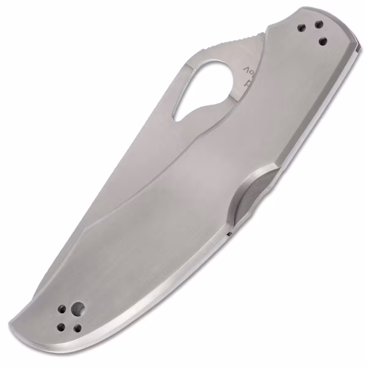 Spyderco-Byrd-Cara-Cara-2-BY03PS2