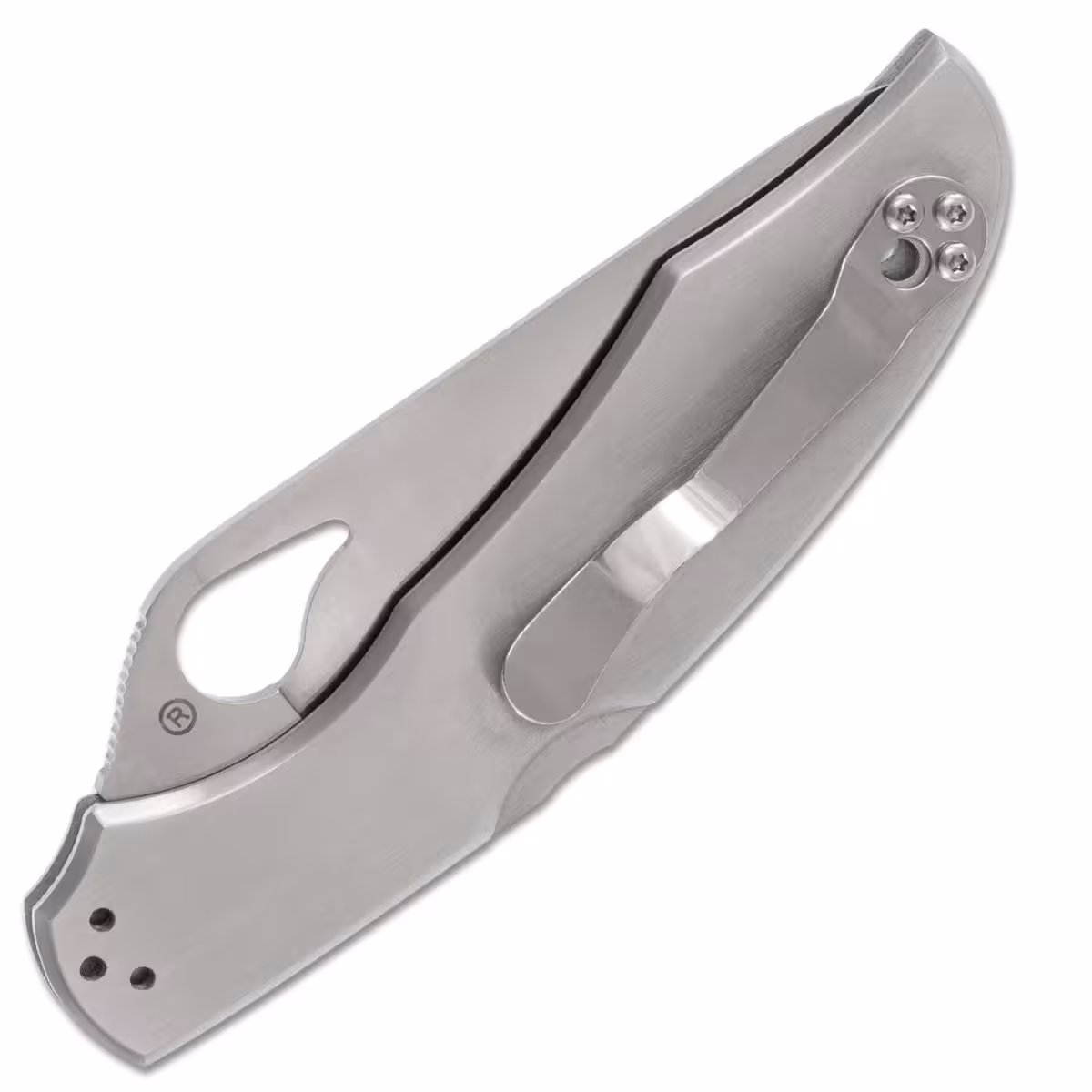 Spyderco-Byrd-Cara-Cara-2-BY03PS2