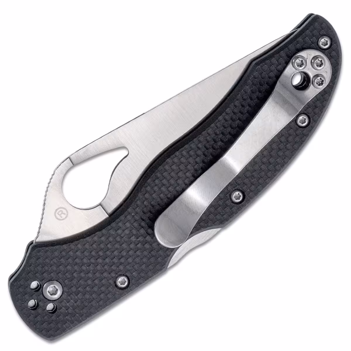 Spyderco-Byrd-Harrier-2-BY01GP2