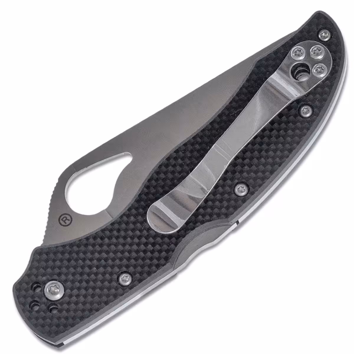 Spyderco-Byrd-Harrier-2- BY01GPS2