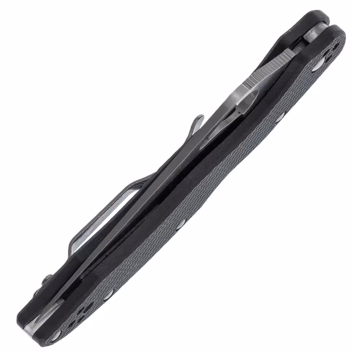 Spyderco-Byrd-Harrier-2- BY01GPS2