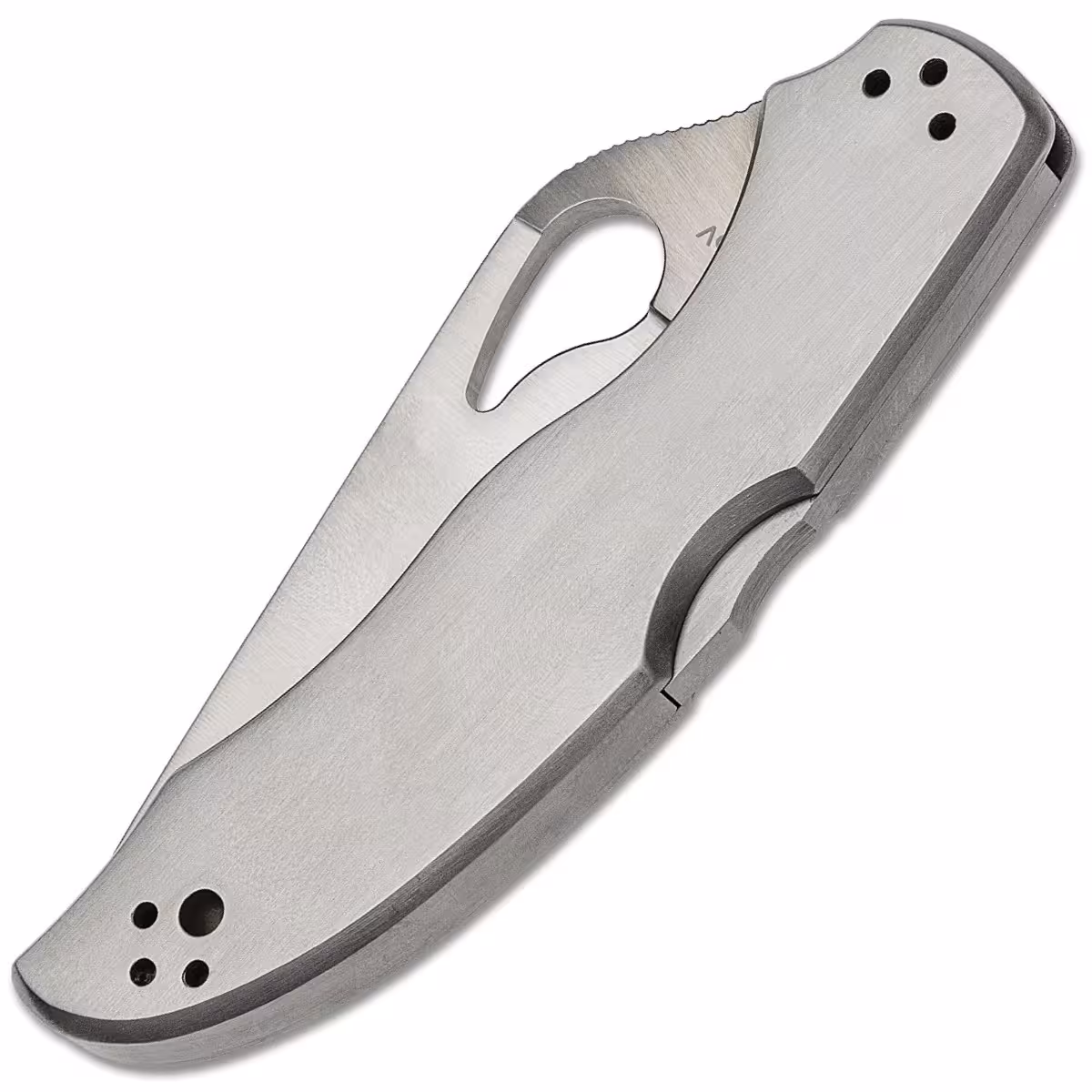 Spyderco-Byrd-Harrier-2-BY01P2
