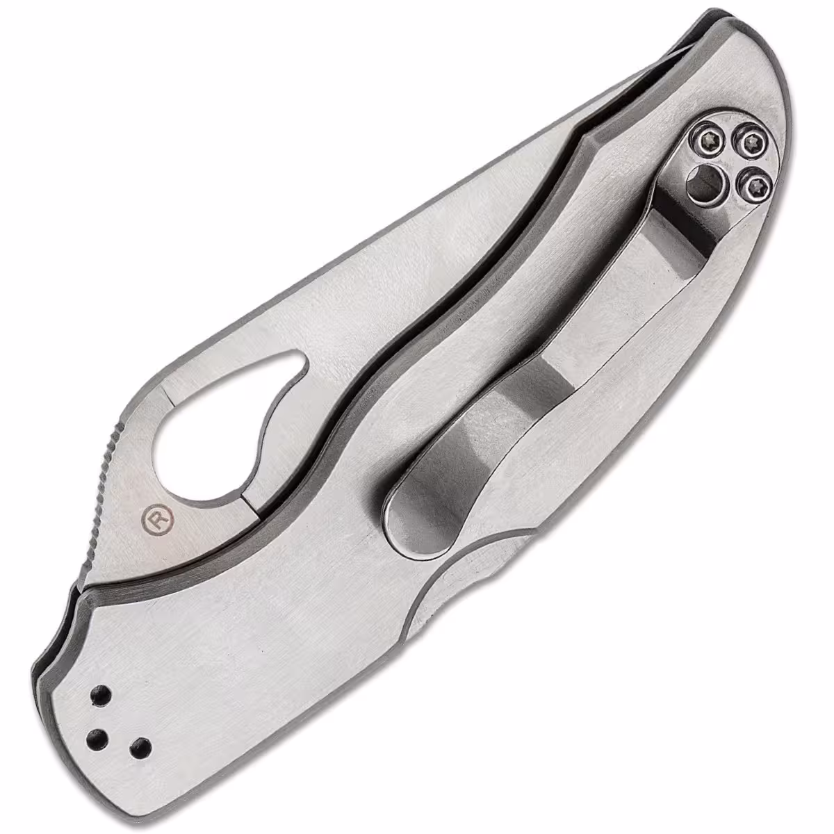 Spyderco-Byrd-Harrier-2-BY01P2
