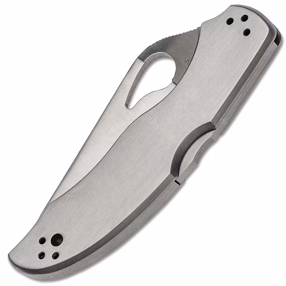 Spyderco-Byrd-Harrier-2-BY01PS2