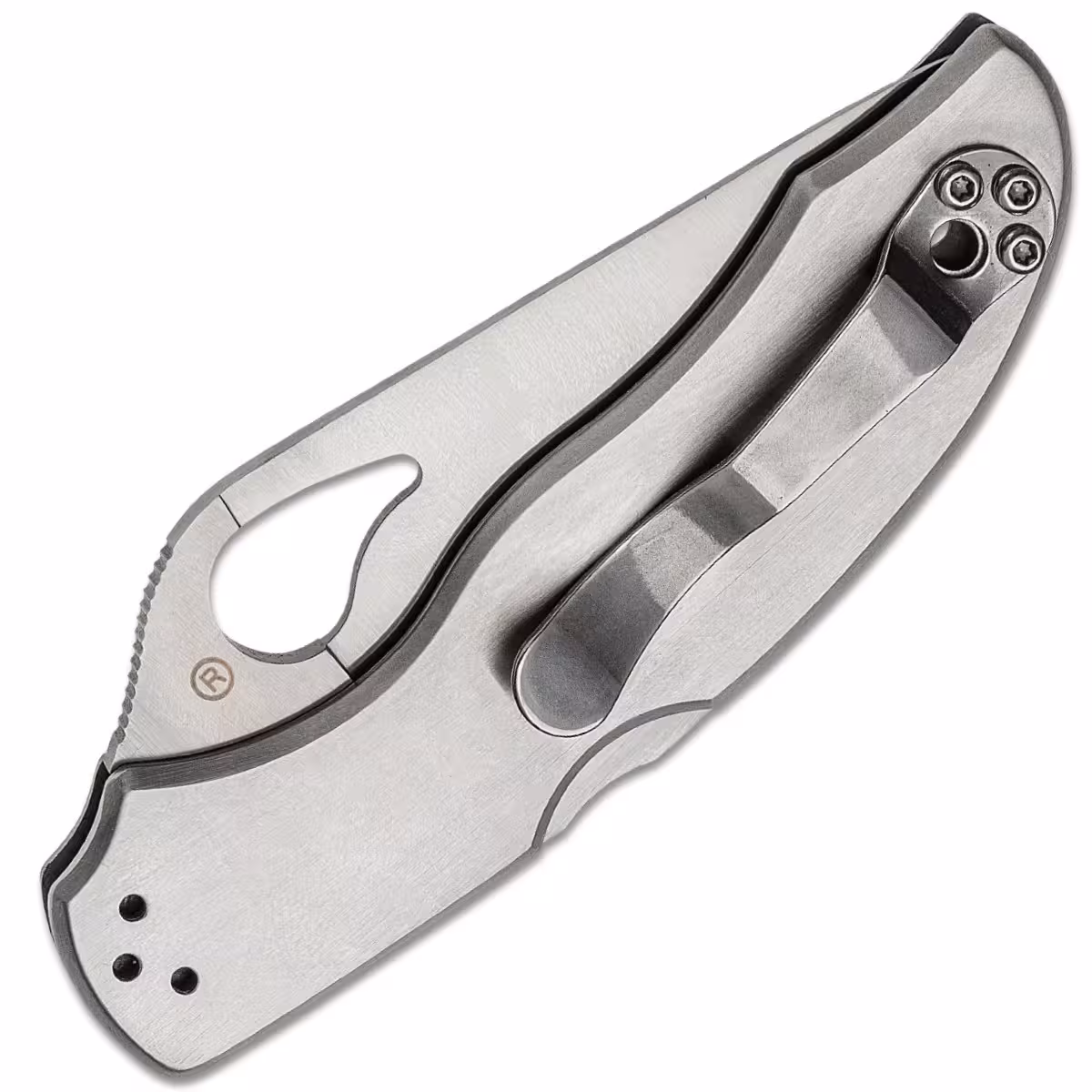 Spyderco-Byrd-Harrier-2-BY01PS2