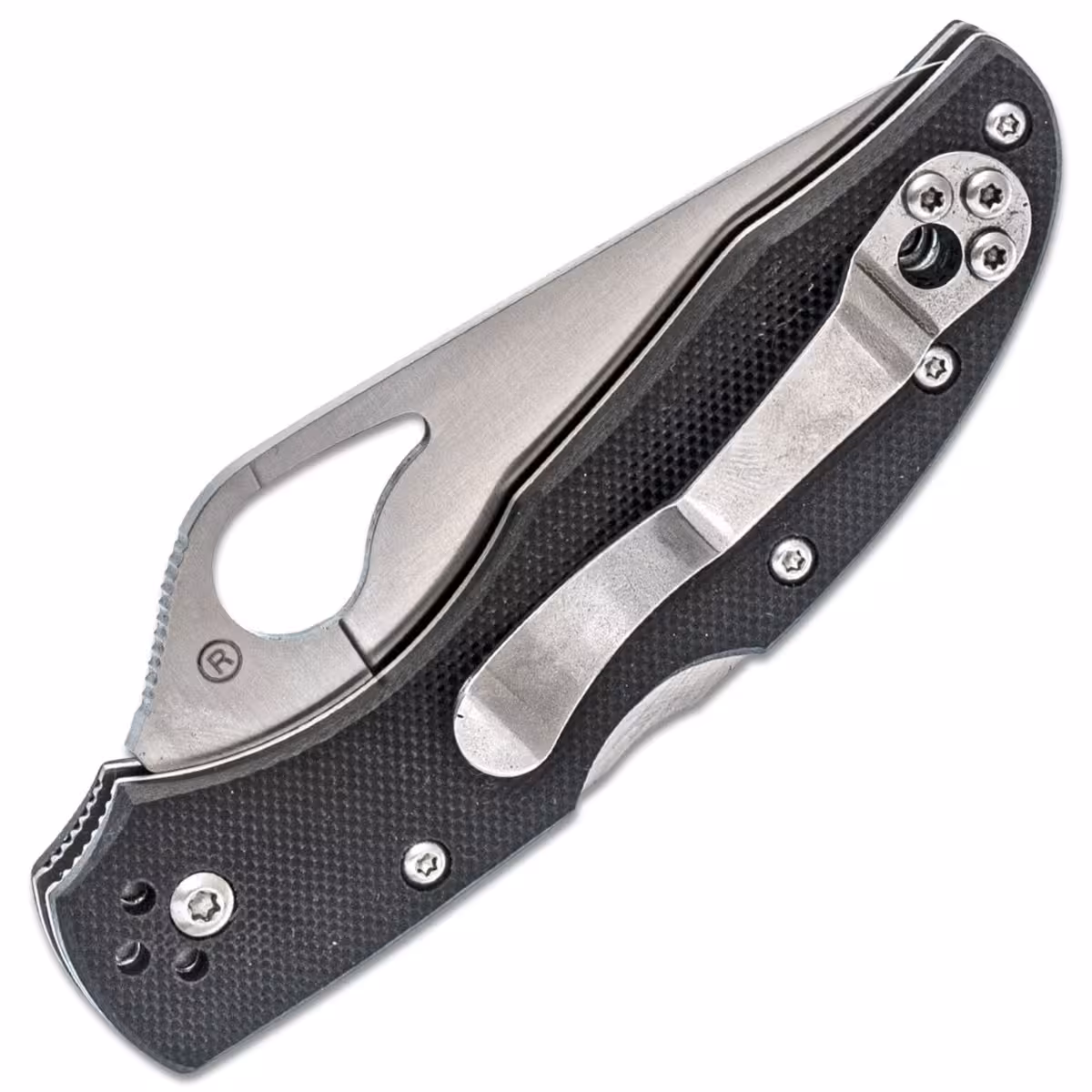 Spyderco-Byrd-Meadowlark-2-BY04GP2