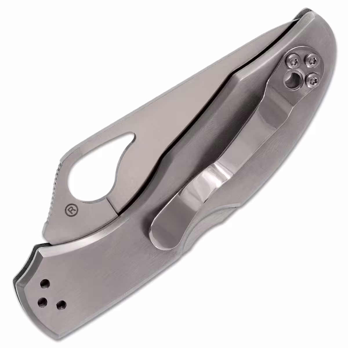 Spyderco-Byrd-Meadowlark-2-BY04P2