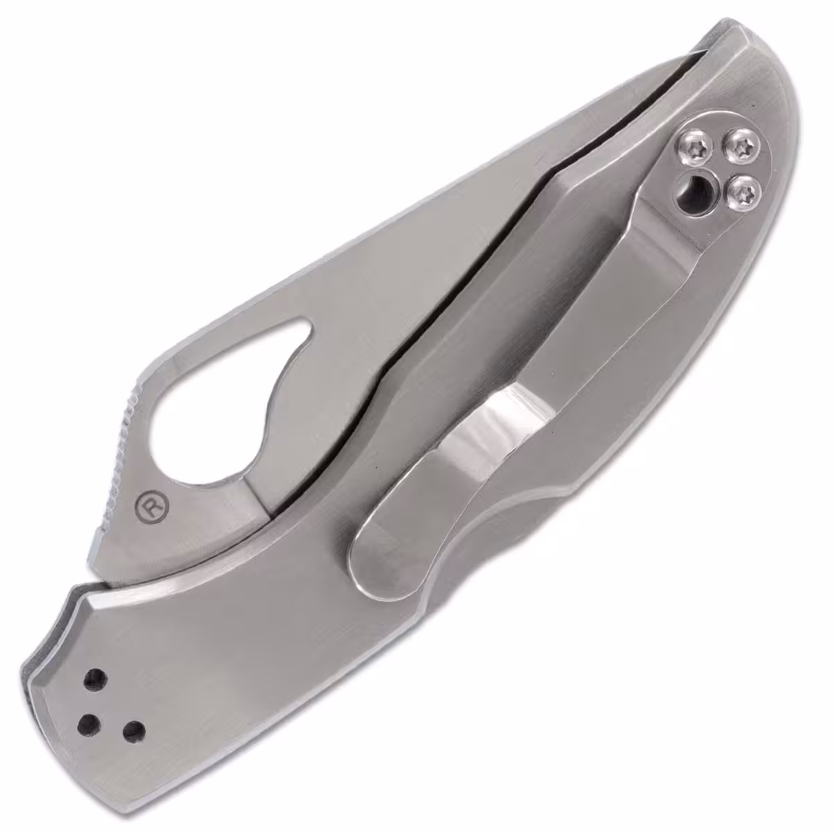 Spyderco-Byrd-Meadowlark-2-BY04PS2