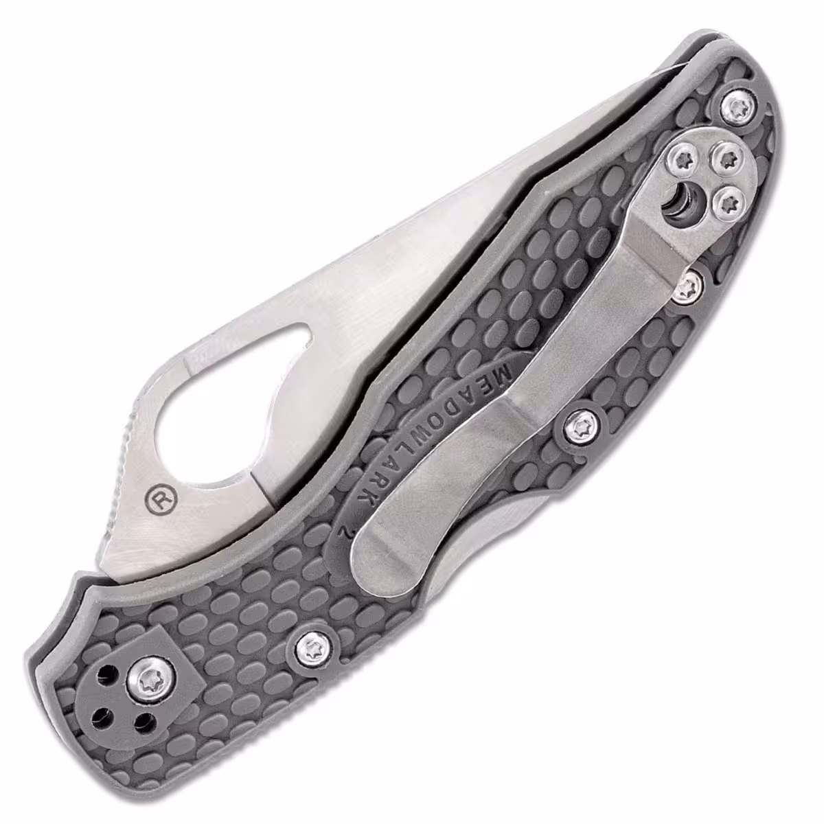 Spyderco-Byrd-Meadowlark-2-BY04PSGY2