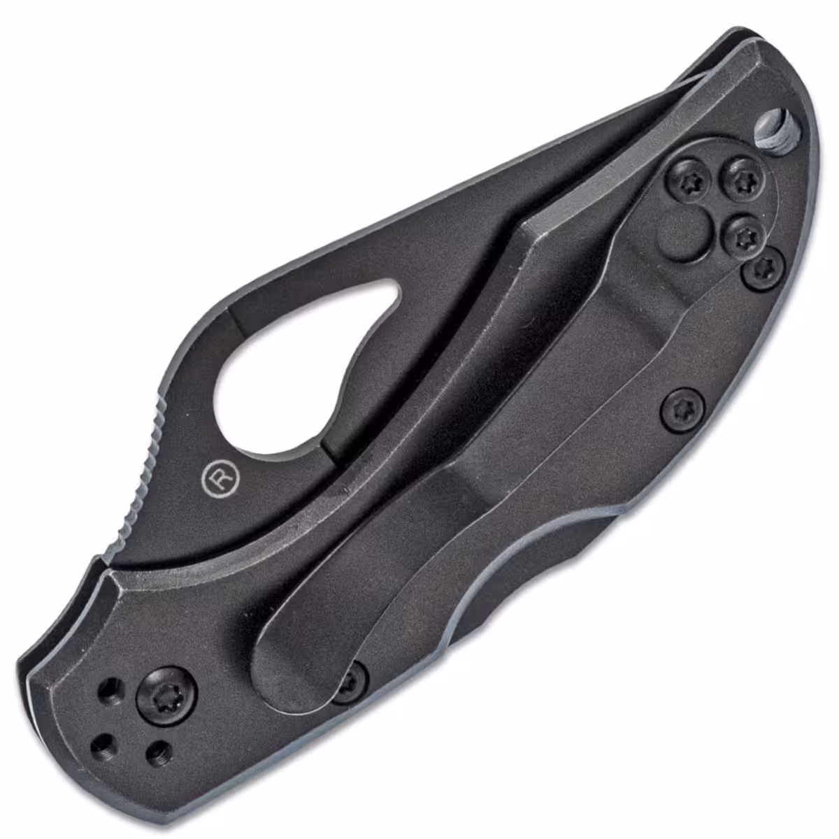 Spyderco-Byrd-Robin-2-BY10BKP2