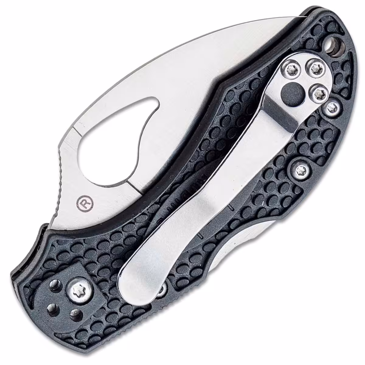 Spyderco-Byrd-Robin-2-Lightweight-BY10PBKWC2
