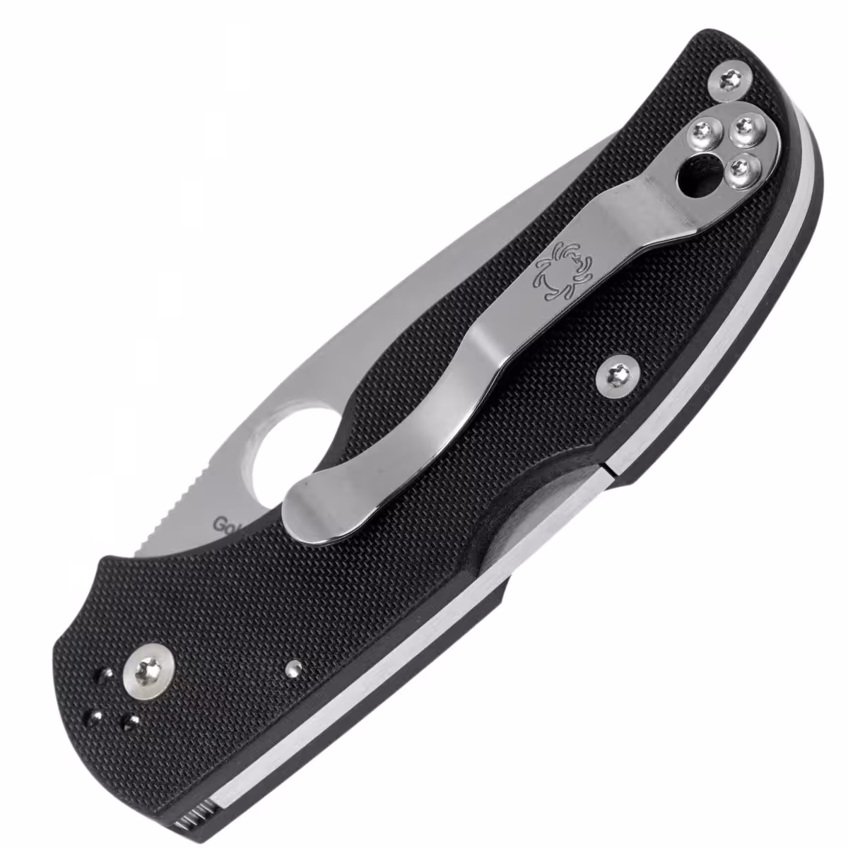 Spyderco-Native-5-C41GP5